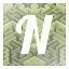N icon