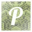 P icon