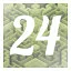 Level 24 icon