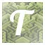 T icon