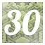 Level 30 icon