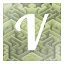 V icon