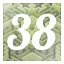 Level 38 icon