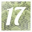 Level 17 icon