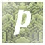 p icon
