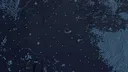 Monslooms Screenshot 0