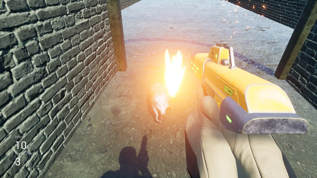 Pih 2 Screenshot 5