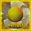 Sunlight Master icon