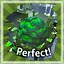 Greenery Perfectionist icon