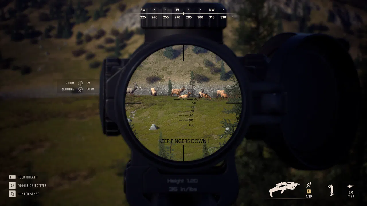 Way of the Hunter - Bear Archery Pack Screenshot 8