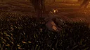 Walking With The Wild Screenshot 2