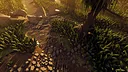 Walking With The Wild Screenshot 4