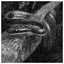Snake 80 icon