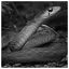 Snake 74 icon