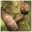 Snake 16 icon