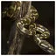 Snake 6 icon