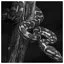 Snake 56 icon