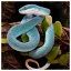 Snake 12 icon