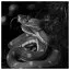 Snake 94 icon