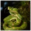 Snake 44 icon