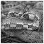 Snake 97 icon