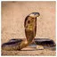 Snake 27 icon