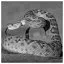 Snake 93 icon