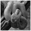 Snake 79 icon