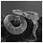 Snake 95