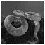 Snake 95 icon