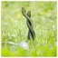 Snake 25 icon
