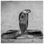 Snake 77 icon