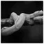 Snake 58 icon