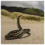 Snake 20 icon