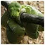 Snake 18 icon