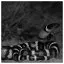 Snake 98 icon