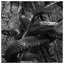 Snake 91 icon