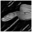 Snake 51 icon