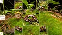 Puzzle Art: Snakes Screenshot 0