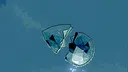 THE TEAR Screenshot 2