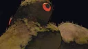 THE TEAR Screenshot 4