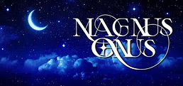 Magnus Onus Playtest
