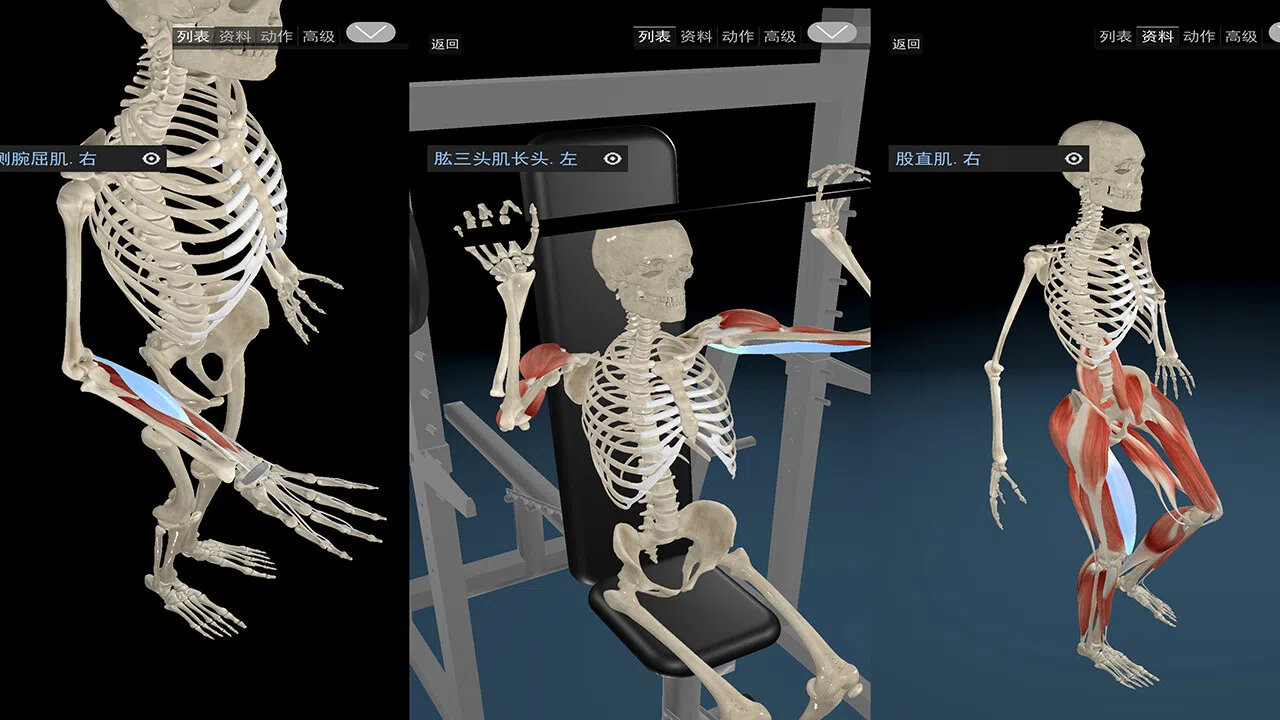 Kinetic Anatomy 3D Screenshot 5