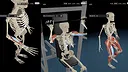 Kinetic Anatomy 3D Screenshot 5