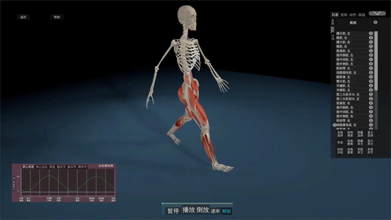 Kinetic Anatomy 3D Screenshot 4
