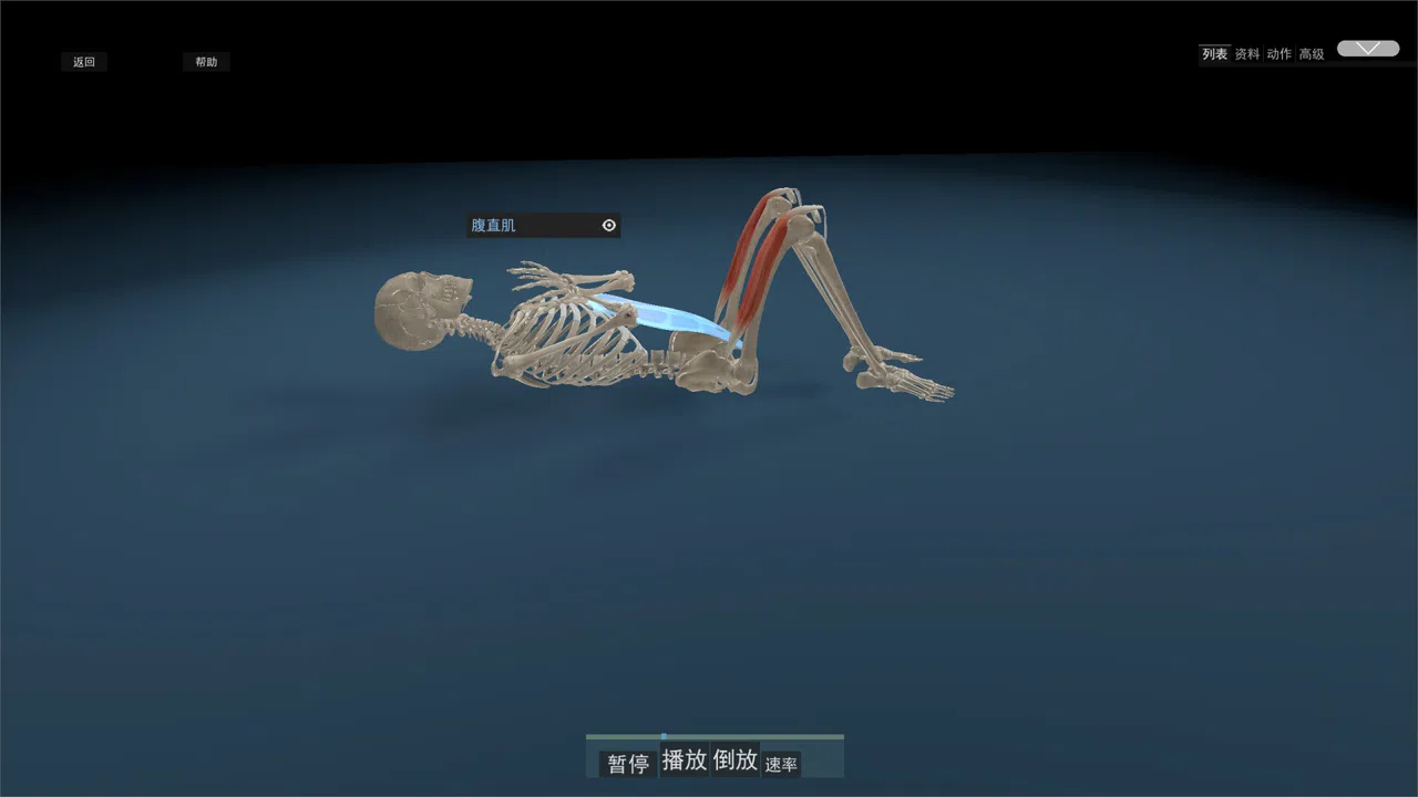 Kinetic Anatomy 3D Screenshot 1