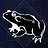 Is that a frog?