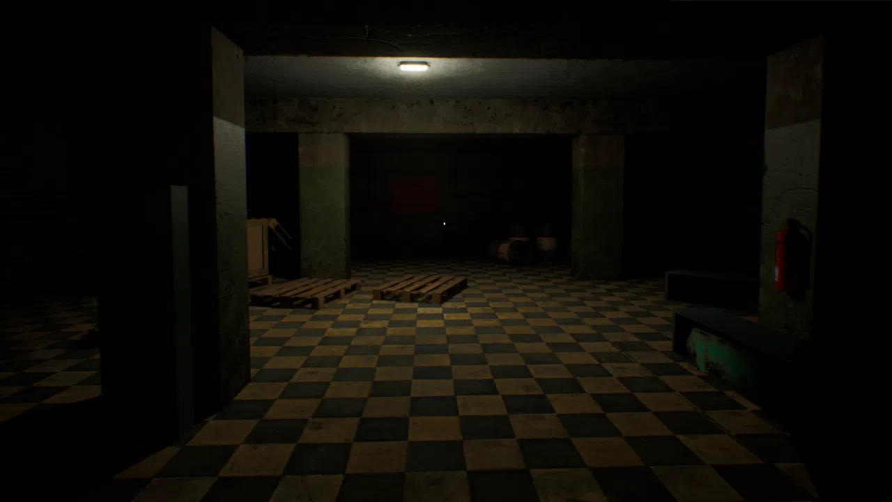 THE SILENT BUNKER SCREAMING ECHOES Screenshot 5