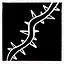 Beauty Sleeping, Ne'er to Wake icon
