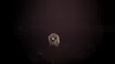PIGSKIN Screenshot 5